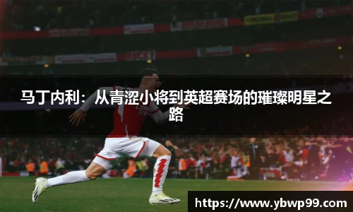 马丁内利：从青涩小将到英超赛场的璀璨明星之路