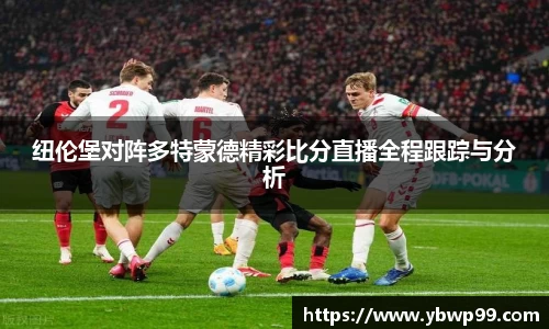 赢博